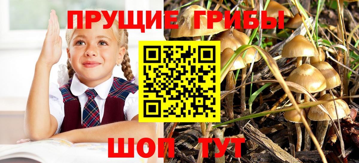 Галлюциногенные грибы мицелий Сатка