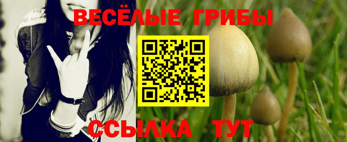 Сатка  Галлюциногенные грибы Cubensis  Псилоцибиновые грибы мицелий  Вход с VPN 
